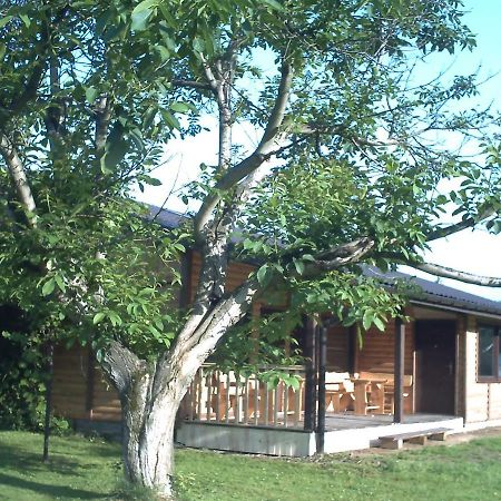 Villa Pod Orzechem Sanok Exterior foto